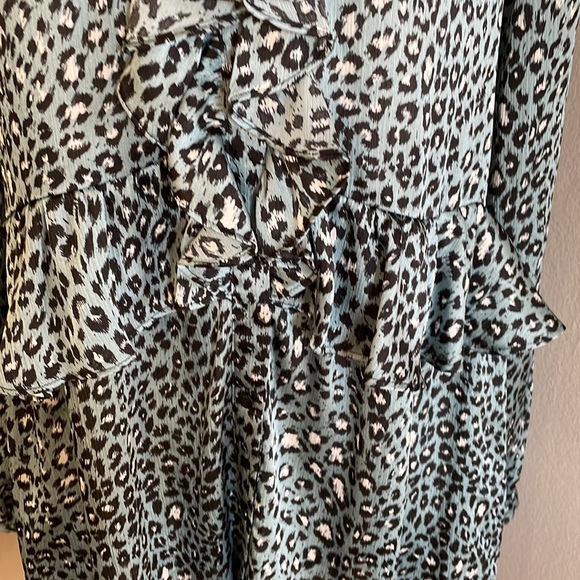 ZARA animal print dress - Picture 4 of 7